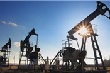 Dầu thô Mỹ giảm mạnh phiên thứ 7, thấp nhất 3 tháng do báo cáo OPEC